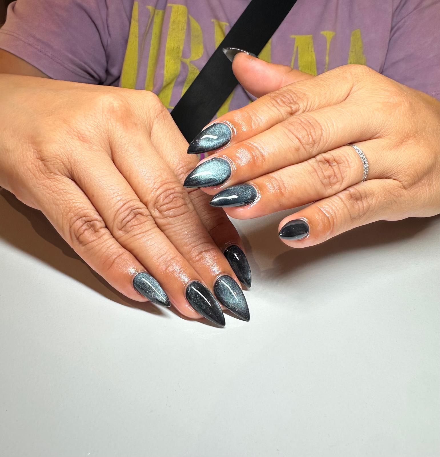 Wildside Nails logo